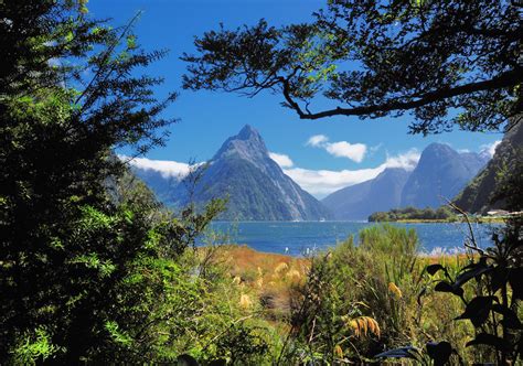 new zealand sights.